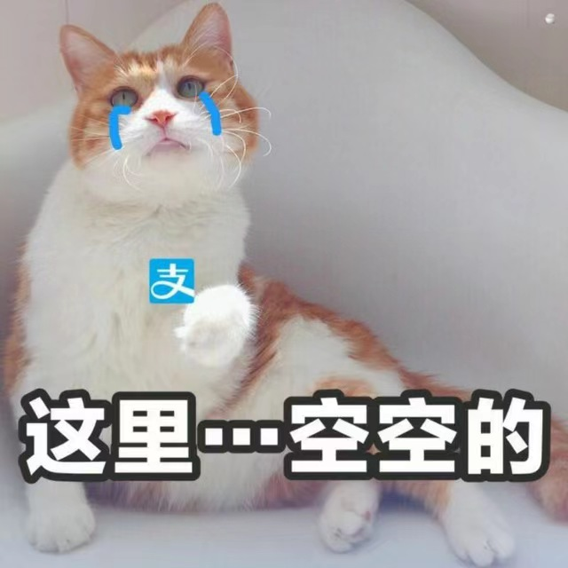 某猫猫